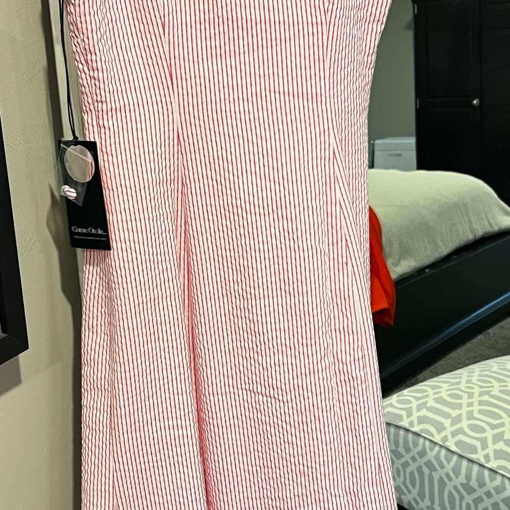 Striped Pink Button-Down Dress - Picture 4 of 4